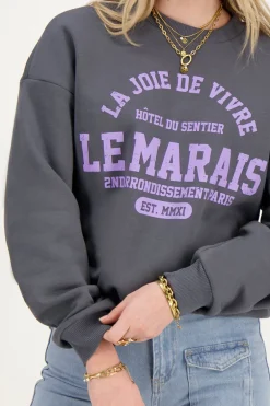 Donkergrijze Sweater La Joie De Vivre