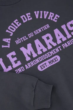 Donkergrijze Sweater La Joie De Vivre