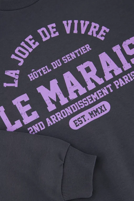 Donkergrijze Sweater La Joie De Vivre