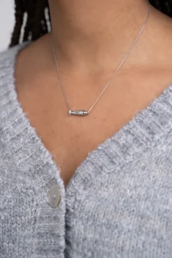 Fijne Ketting Met Vis Bedel