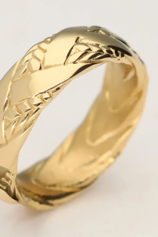 Gevlochten Ring