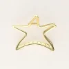 Gouden Haarclip Met Grote Ster