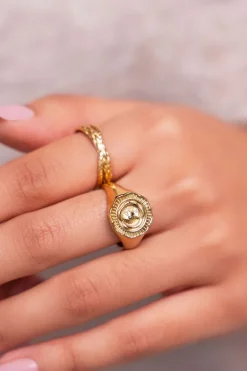 Vintage Look Zegelring Met Munt