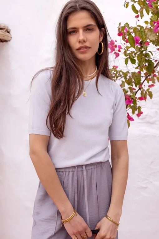 Zilveren Lurex Top Met Korte Mouwen