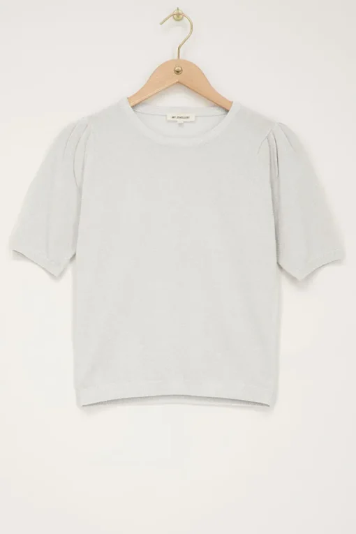 Zilveren Lurex Top Met Korte Mouwen