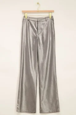 Zilveren Pantalon Metallic
